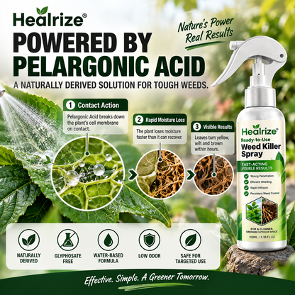 🌟 Official Store | 🌿 Healrize® Ready-to-Use Weed Killer Spray – Fast-Acting Pelargonic Acid Formula, No Mixing & Glyphosate-Free
